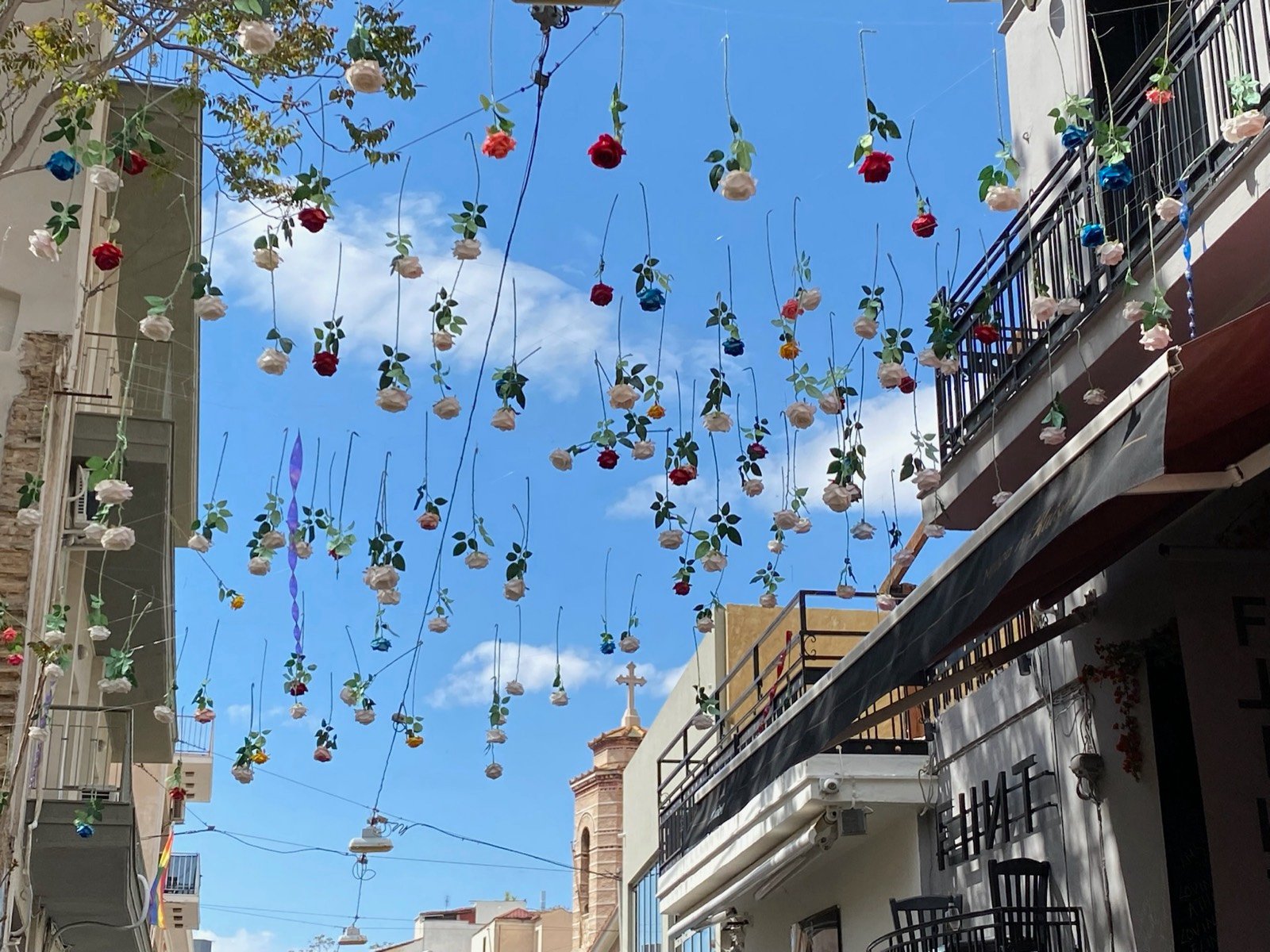 Roses hanging over a street in Athens