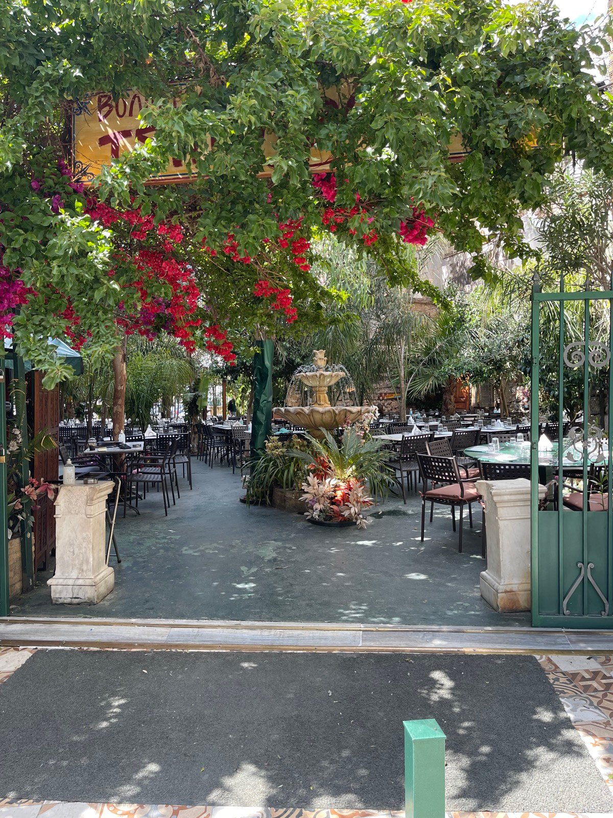 A garden patio full of flowers